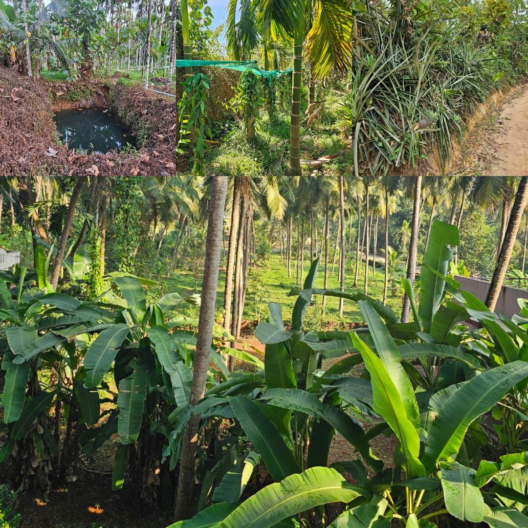 Agroforestry & Soil Carbon Program