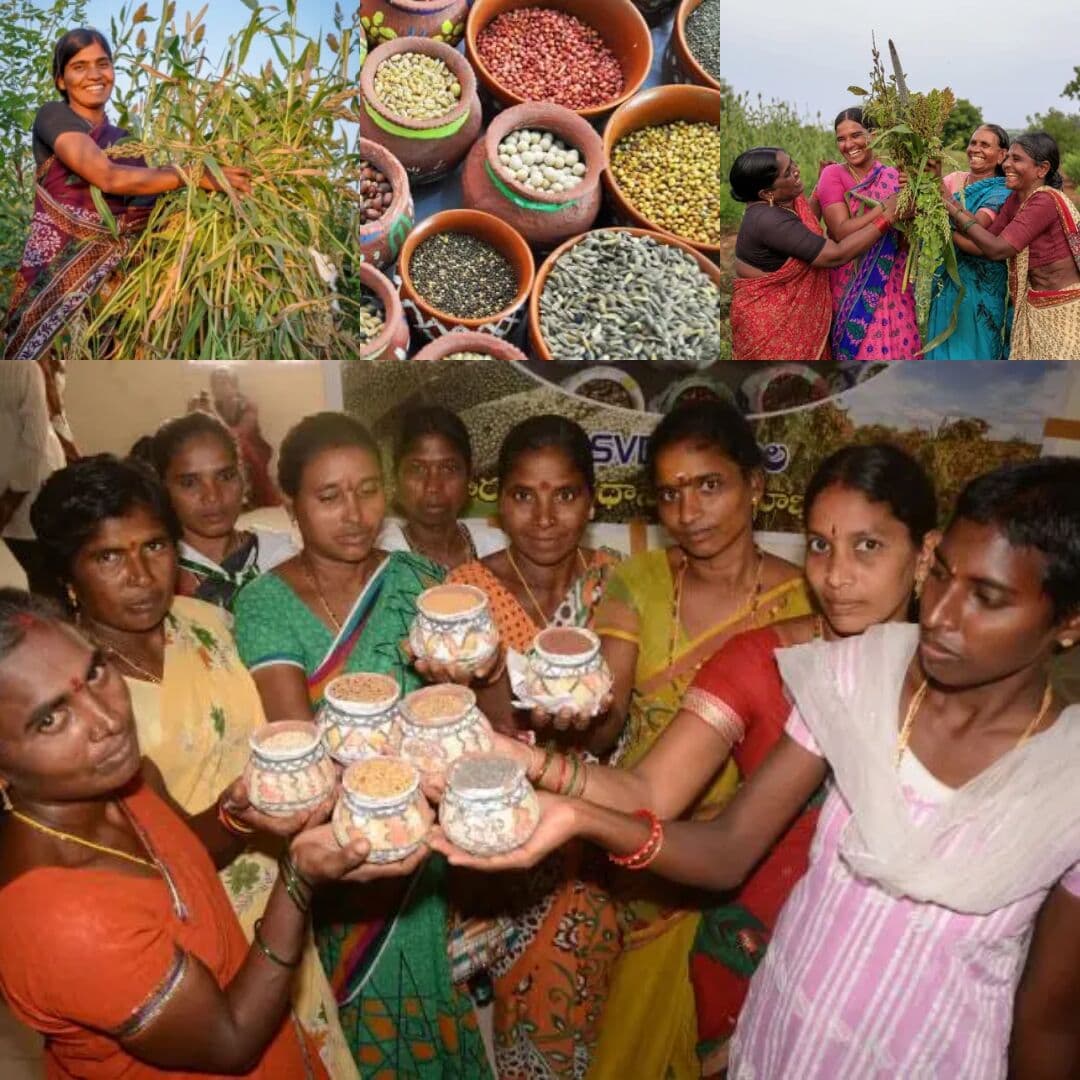 Regenerative Millets & Women Collectives