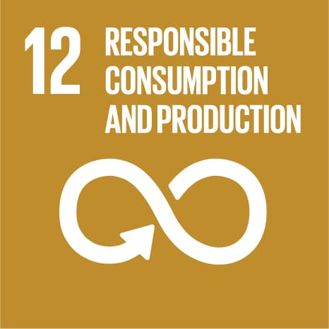 Responsible Consumption & Production